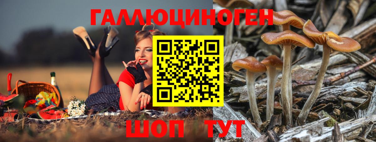 Галлюциногенные грибы MAGIC MUSHROOMS Норильск