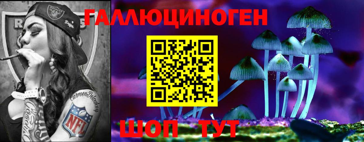Норильск  Галлюциногенные грибы GOLDEN TEACHER  Псилоцибиновые грибы Psilocybine cubensis  Вход с VPN 